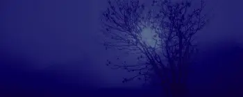 depression